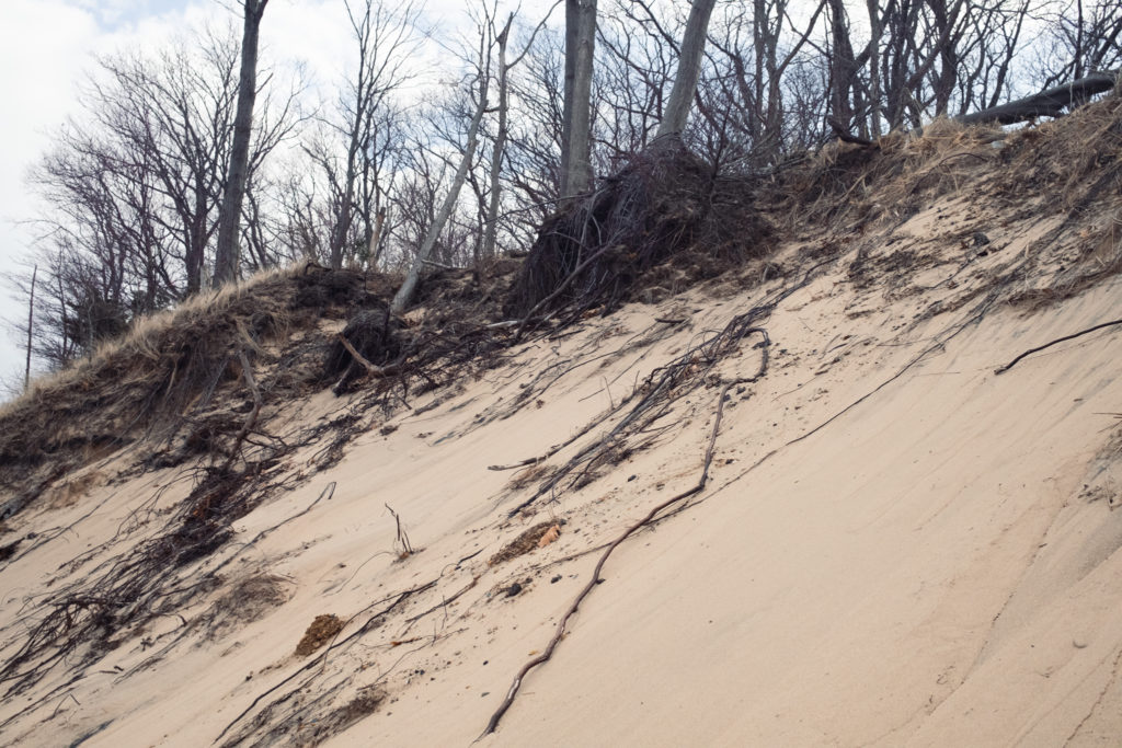 Natural winter erosion over dune