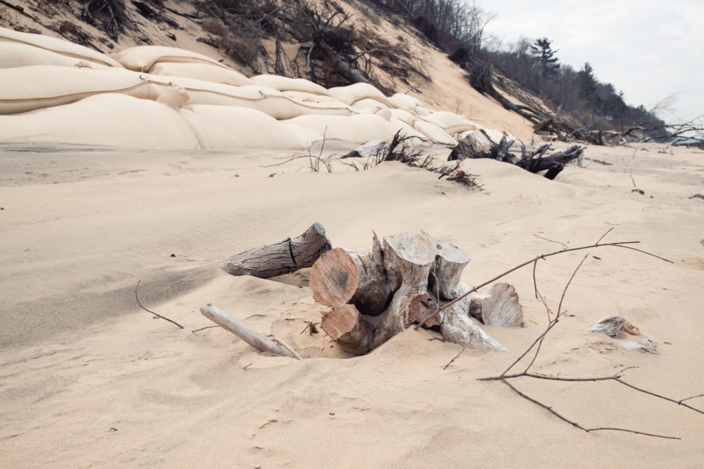 Drift wood vegetation with geotextile tubes