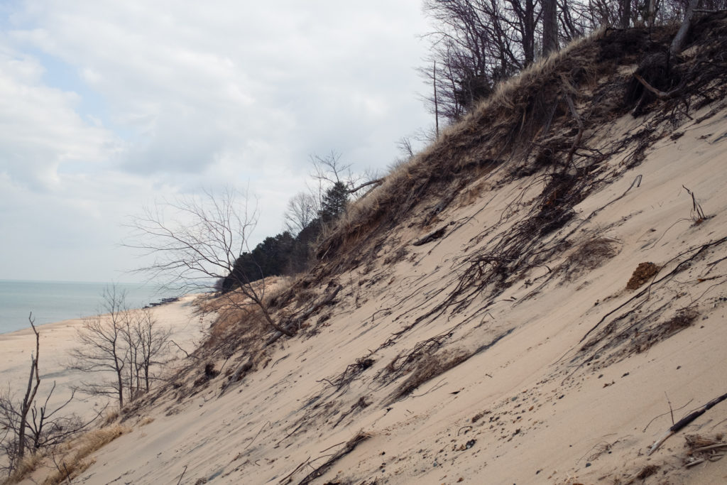 Using Sand for Lake Michigan Erosion Control - Superior Groundcover