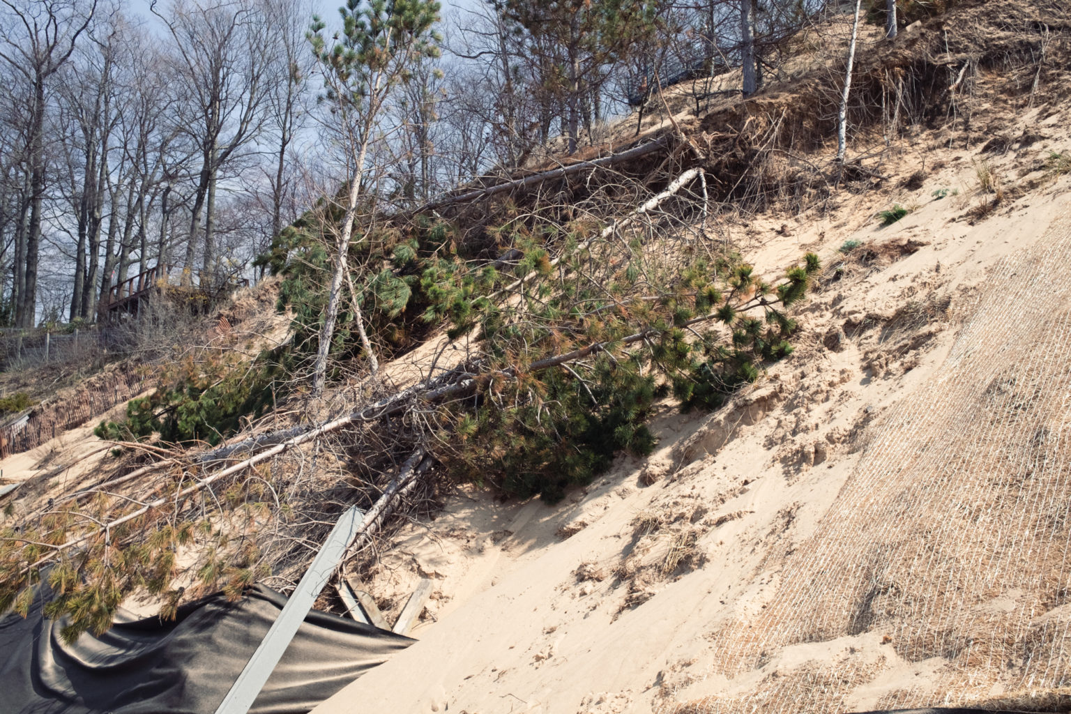 Eroding dune to be restored by Lakeshore Customs