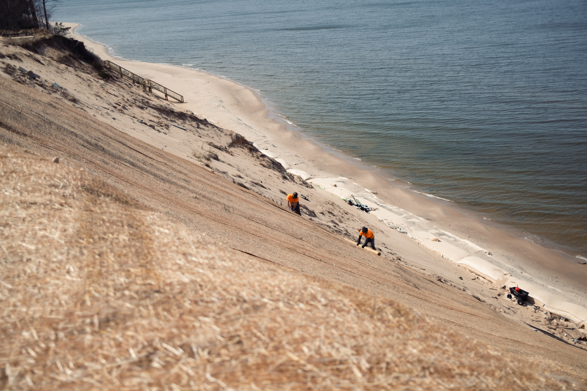 Wide view of dune with two workers rolling out straw mats
