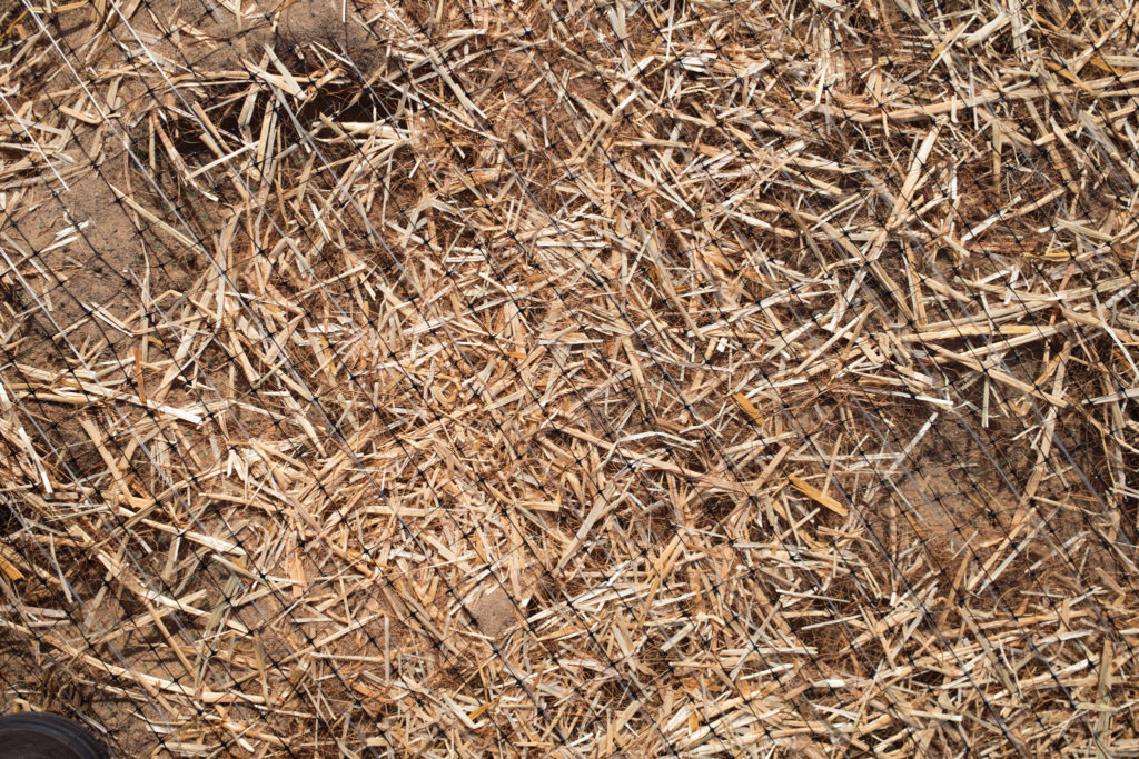 Closeup shot of the material of an erosion control blanket (straw mat).
