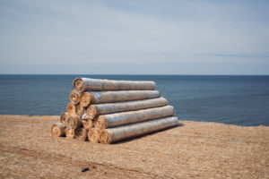 Stacked, rolled up straw mat erosion control blankets at the top of a dune.