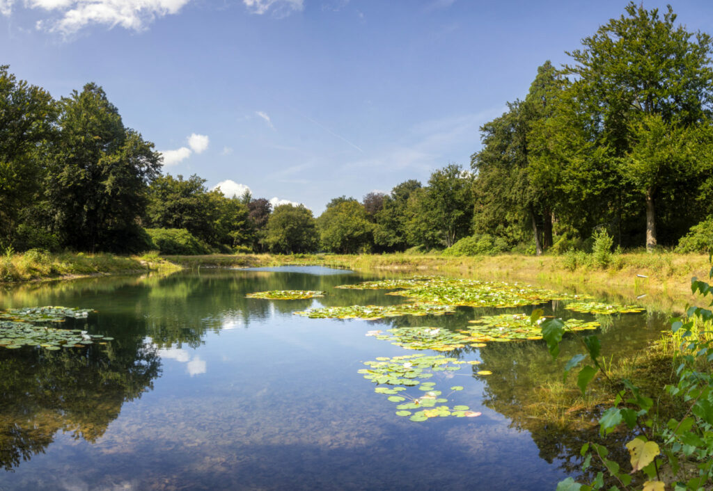 View over a pond in the Arnoldspark on the estate Landgoed de Utrecht close to the Dutch village Esbeek