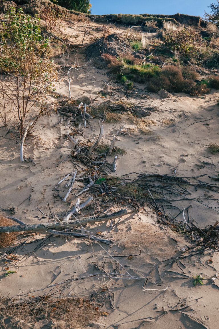 Debris running up a sand dune