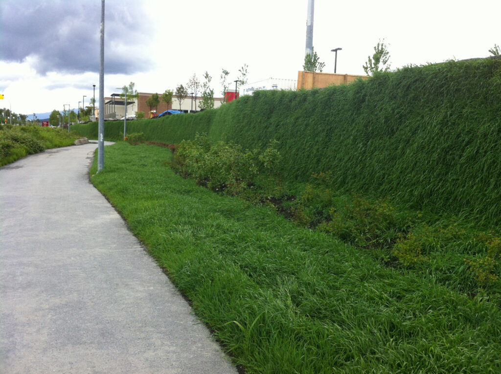 Grass planted on a Flex MSE mechanically stabilized earth wall.