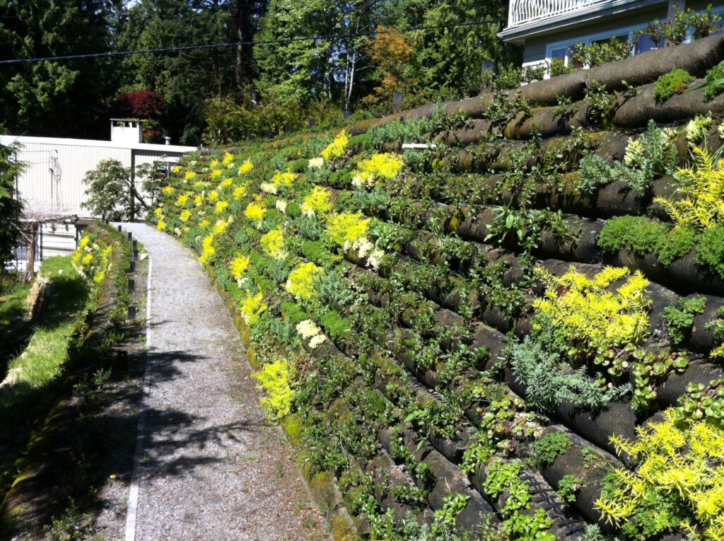 Live Planted vegetation is growing nicely in the residential Flex MSE retaining wall.